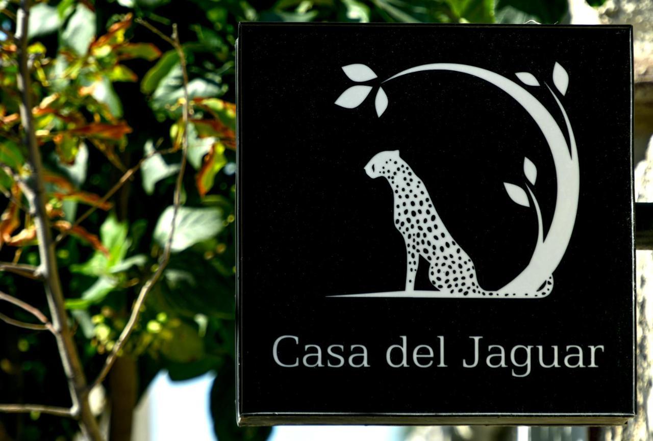 Casa Del Jaguar Beach Hotel Isla Mujeres Exteriör bild